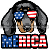 Dachshund Dog Wearing Sunglasses With Merica Text Happy Face Colorful Vector Design Puppy Pup Pet Purebred Pedigree Vector Design Clipart SVG
