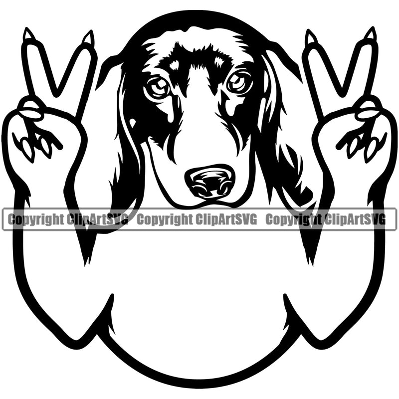 Dachshund Dog Peace Hand Sign Vector Design Smile Face Paw Puppy Pup Pet Purebred Pedigree Design Element Clipart SVG