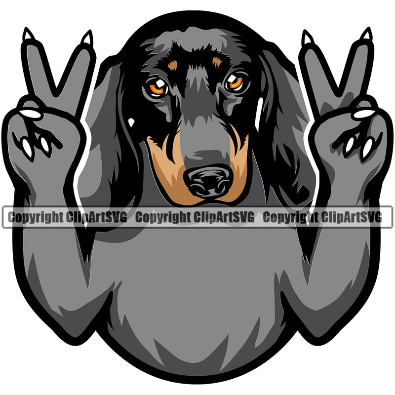 Dachshund Dog Peace Hand Sign Colorful Vector Design Smile Face Paw Puppy Pup Pet Purebred Pedigree Vector Design Clipart SVG