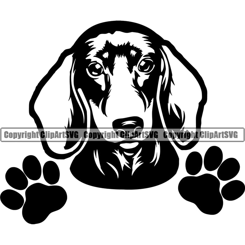 Dachshund Dog Peeking Vector Design With Happy Face Puppy Pup Pet Purebred Pedigree Design Element Clipart SVG