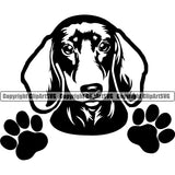 Dachshund Dog Peeking Vector Design With Happy Face Puppy Pup Pet Purebred Pedigree Design Element Clipart SVG