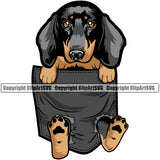 Dachshund Dog Hanging From Shirt Pocket Colorful Tshirt Shirt Vector Design Dog With Sad Face Puppy Pup Pet Purebred Pedigree Vector Design Clipart SVG