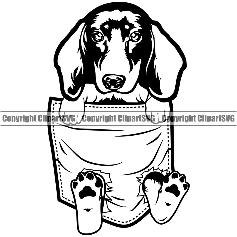 Dachshund Dog Hanging From Shirt Pocket T-Shirt Tshirt Vector Design Dog With Sad Face Puppy Pup Pet Purebred Pedigree Vector Clipart SVG
