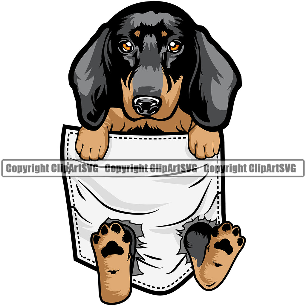 dog wearing t shirt clipart