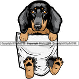 Dachshund Dog Hanging From Shirt T-Shirt Tshirt Pocket Vector Design Dog With Happy Face Puppy Pup Pet Purebred Pedigree Vector Portrait Clipart SVG