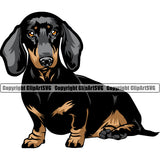 Dachshund Dog Sitting Colorful Vector Design Happy Smile Face Puppy Pup Pet Purebred Pedigree Vector Clipart SVG