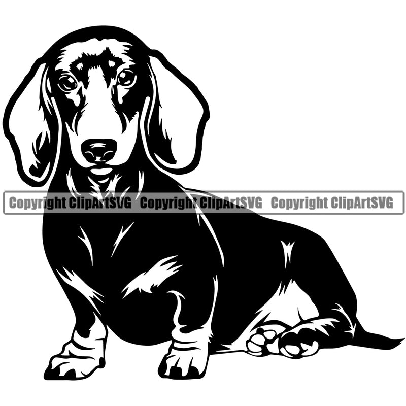 Dachshund Dog Sitting Vector Design Happy Smile Face Puppy Pup Pet Purebred Pedigree Vector Design Clipart SVG