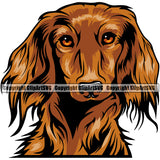 Dachshund Dog Head Colorful Vector Design With Long Hair Happy Smile Face Puppy Pup Pet Purebred Pedigree Vector Clipart SVG