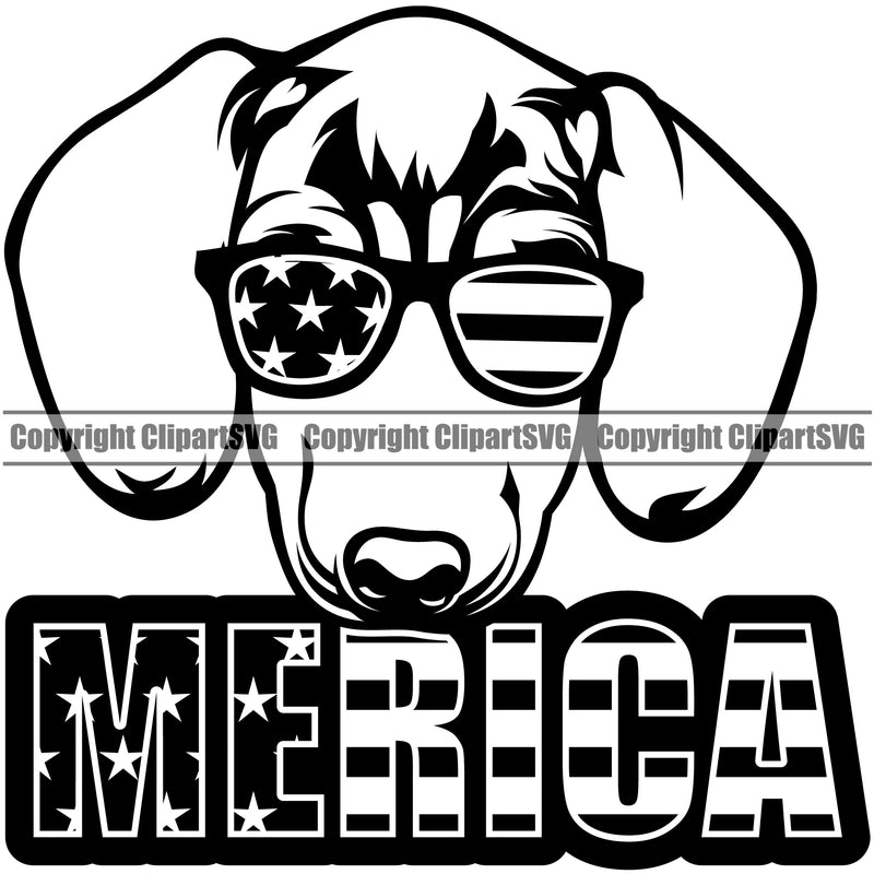 Dachahund Dog Merica Text Vector Design With Wearing Sunglasses Happy Face Puppy Pup Pet Purebred Pedigree Vector Design Clipart SVG