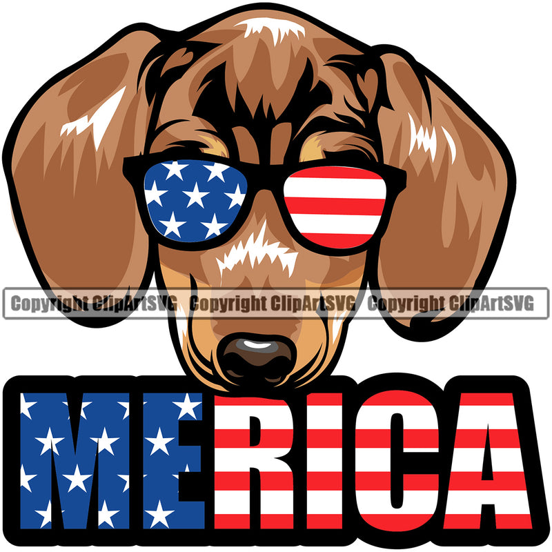 Dachahund Dog Merica Text And Colorful Vector Design With Wearing Sunglasses Happy Face Puppy Pup Pet Purebred Pedigree Vector Clipart SVG