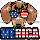 Dachahund Dog Merica Text And Colorful Vector Design With Wearing Sunglasses Happy Face Puppy Pup Pet Purebred Pedigree Vector Clipart SVG