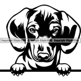 Dachshund Dog Peeking Vector Design Happy Smile Face Puppy Pup Pet Purebred Pedigree Vector Portrait Clipart SVG