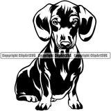 Dachshund Dog Sitting Vector Design Happy Smile Face Puppy Pup Pet Purebred Pedigree Vector Portrait Clipart SVG