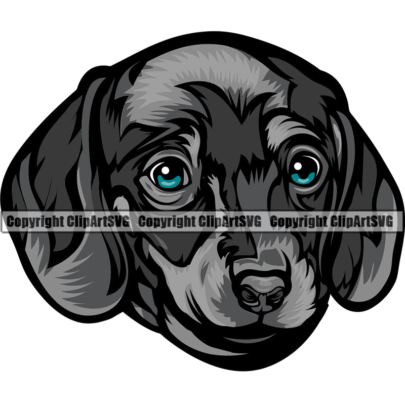 Dachshund Dog Black Head Vector Design Happy Smile Face Puppy Pup Pet Purebred Pedigree Vector Clipart SVG