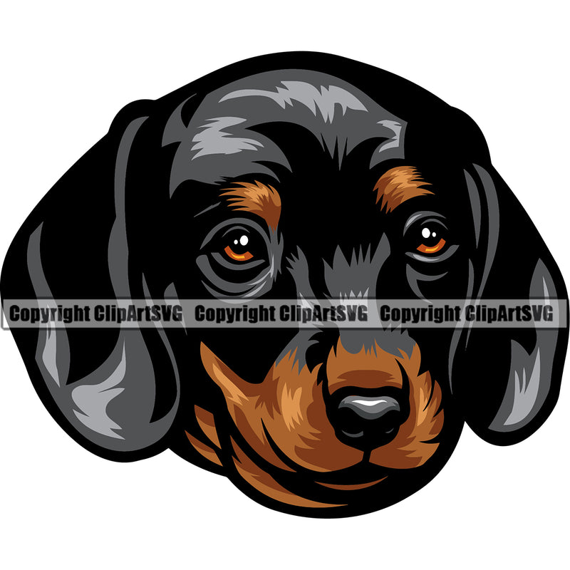 Dachshund Dog Colorful Head Vector Design Happy Smile Face Puppy Pup Pet Purebred Pedigree Vector Portrait Clipart SVG