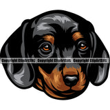 Dachshund Dog Colorful Head Vector Design Happy Smile Face Puppy Pup Pet Purebred Pedigree Vector Portrait Clipart SVG