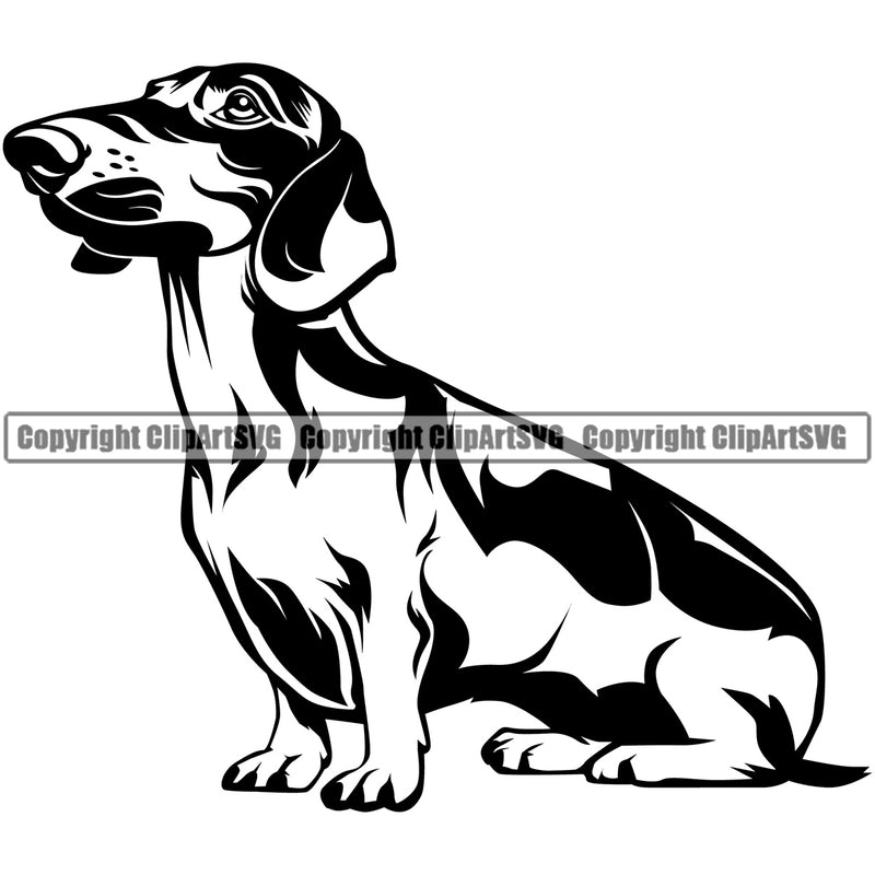 Dachshund Dog Sitting Design Happy Smiling Face Pup Puppy Pet Purebred Pedigree Design Element Clipart SVG