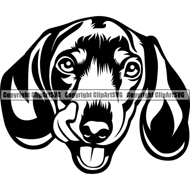 Dachshund Dog Head Vector Design Happy Face Pup Pet Puppy Purebred Pedigree Vector Portrait Clipart SVG