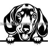 Dachshund Dog Peeking Vector Design Smiling Happy Face Puppy Pup Pet Purebred Pedigree Portrait Clipart SVG