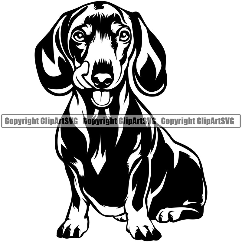 Dachshund Dog Sitting Design Happy Smiling Face Puppy Pup Pet Purebred Pedigree Design Element Clipart SVG