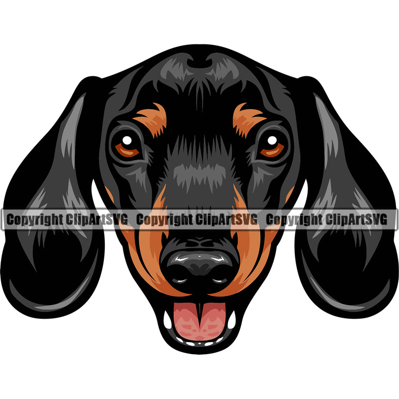 Dachshund Dog Head Vector Design Smiling Happy Face Puppy Pew Pup Pet Purebred Pedigree Design Clipart SVG