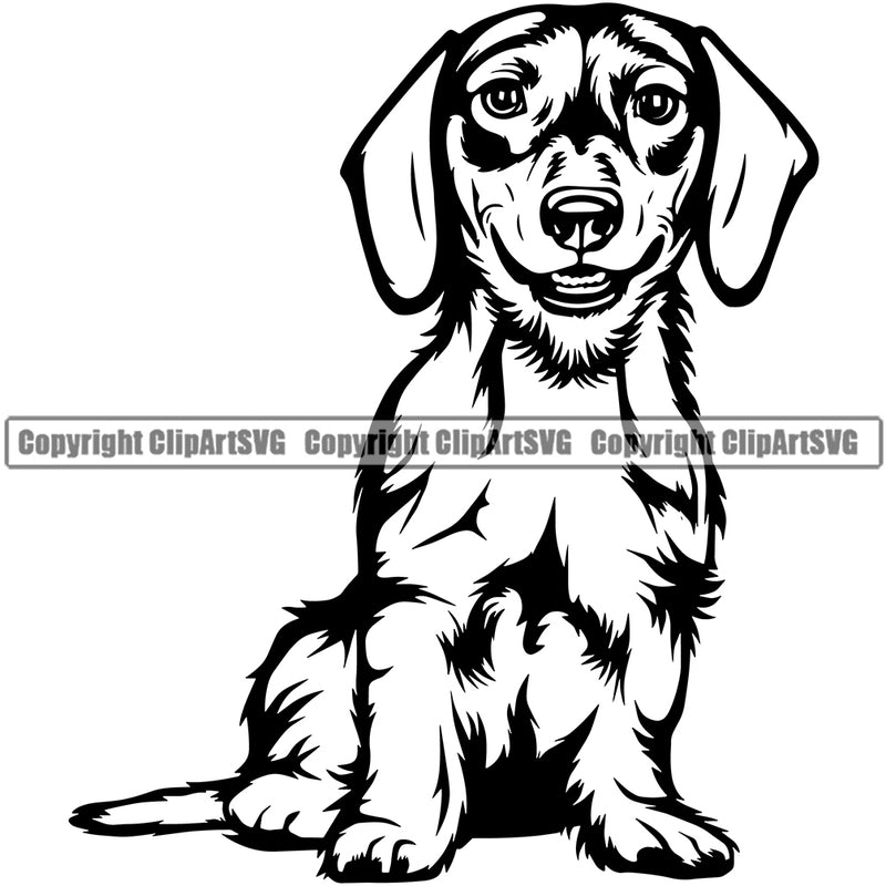 Dachshund Dog Sitting Vector Design Smiling Happy Puppy Face Pet Pup Purebred Pedigree Design Clipart SVG