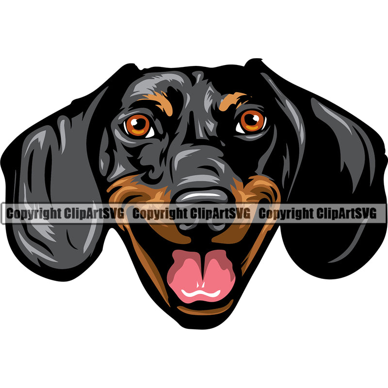 Dachshund Dog Smiling Face Colorful Head Vector Design Pet Puppy Pup Purebred Pedigree Design Element Clipart SVG