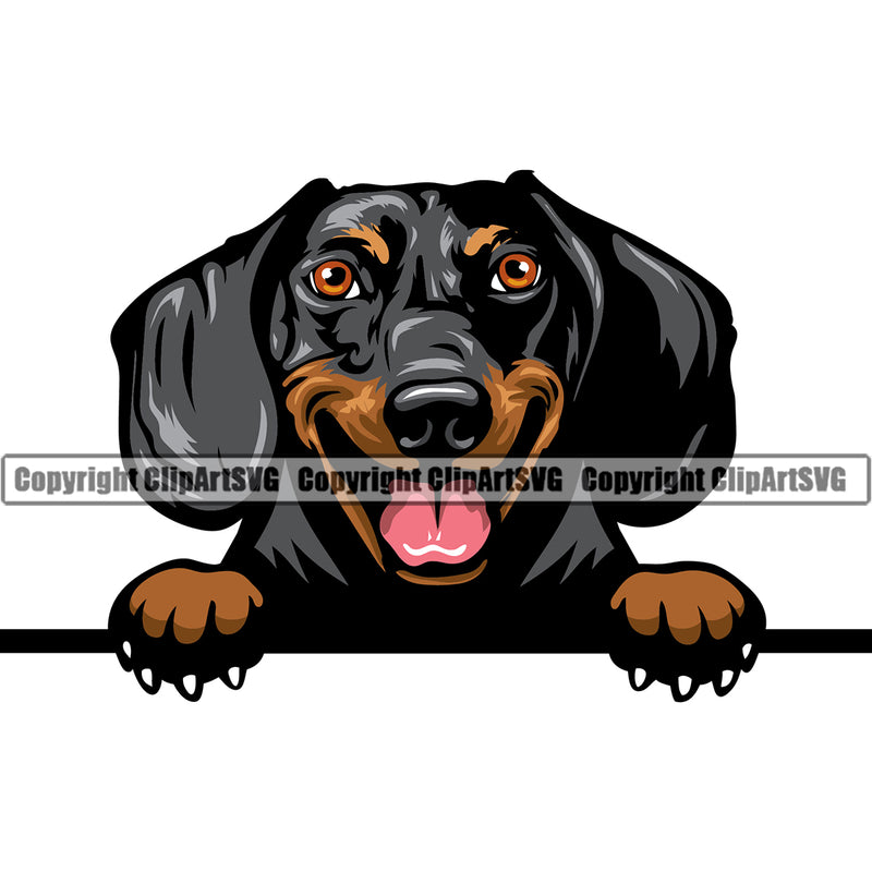 Dachshund Dog Peeking Peek-A-Boo Vector Design Happy Face Puppy Pet Purebred Pedigree Design Clipart SVG