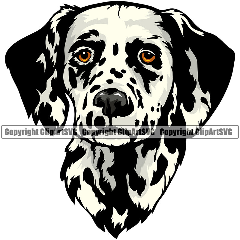 Dalmatian Dog Head Design Black And White Spot Puppy Pup Pet Paw Purebred Pedigree Protrait Clipart SVG
