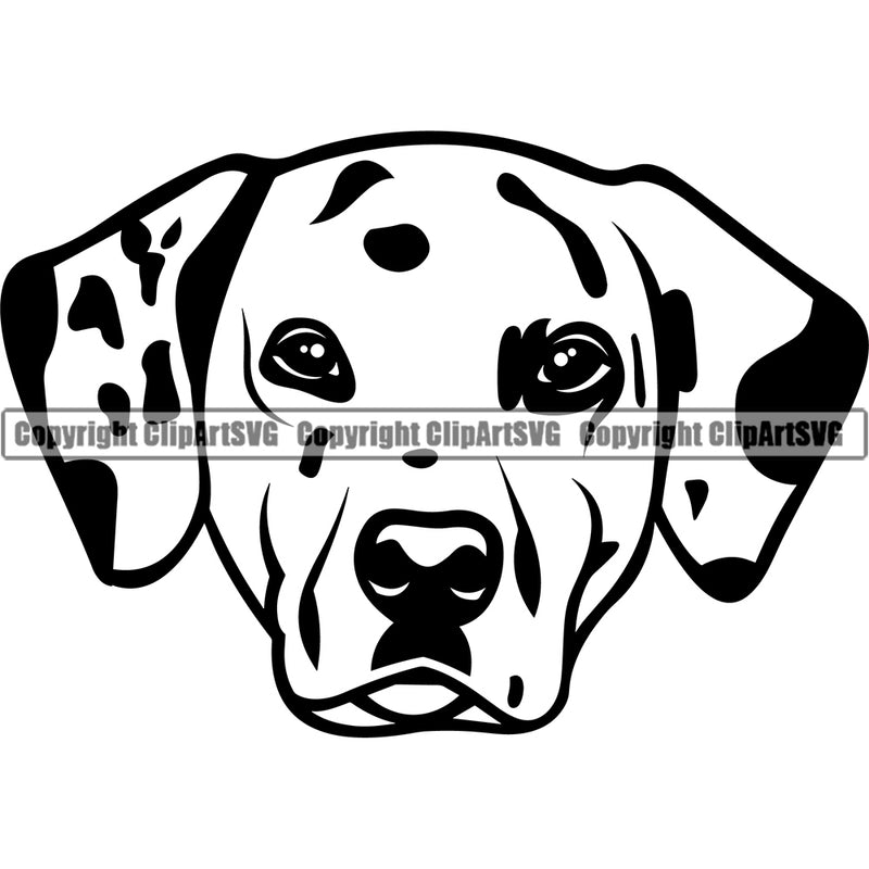 Dalmatian Dog Head Design Black and White Spot Adorable Puppy Pet Pup Paw Purebred Pedigree Vector Portrait Clipart SVG