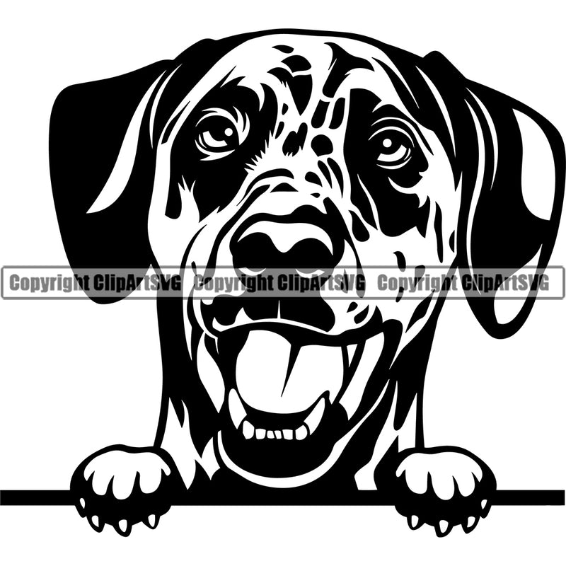 Dalmatian Dog Peeking Vector Design Happy Smiling Cute Puppy Face Pup Pet Purebred Pedigree Portrait Clipart SVG