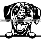 Dalmatian Dog Peeking Vector Design Happy Smiling Cute Puppy Face Pup Pet Purebred Pedigree Portrait Clipart SVG