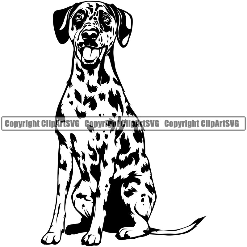 Dalmatian Dog Sitting Vector Design Black And White Spot Smiling Face Puppy Pet Purebred Pedigree Element Clipart SVG
