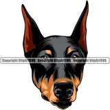 Dobermann Dog Head Vector Design Angry Face Puppy Pup Pet Purebred Pedigree Vector Design Clipart SVG