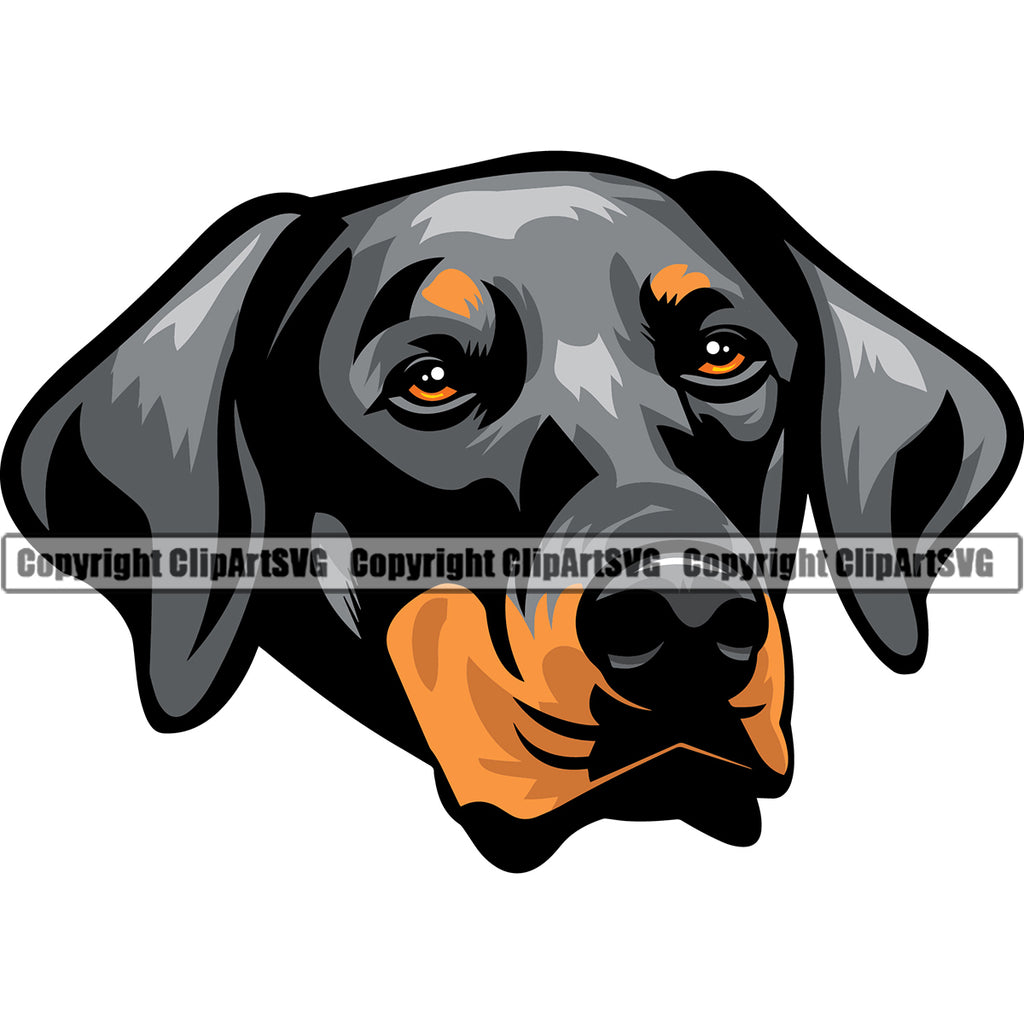 Dobermann Dog Head Design Sad Face Puppy Pup Vector Purebred Pedigree Vector Design Clipart SVG