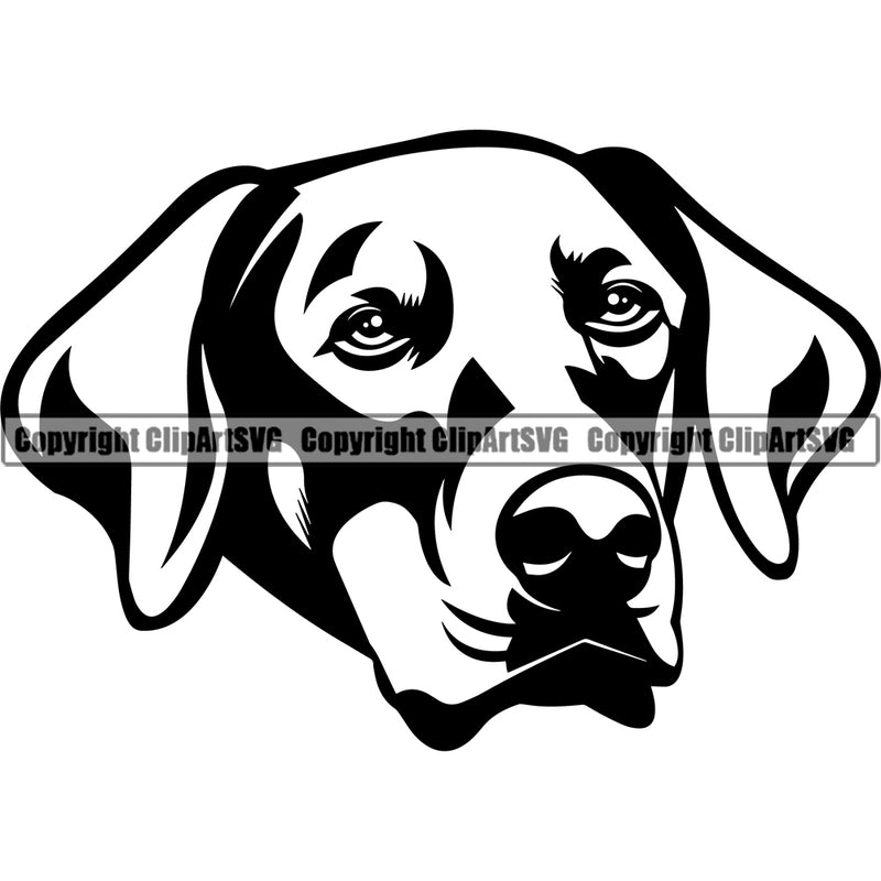 Dobermann Dog Head Design Sad Face Puppy Pup Pet Purebred Vector Pedigree Animal Portrait Head Purebred Pedigree Clipart SVG