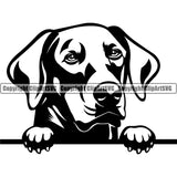 Dobermann Dog Peeking Vector Design Sad Face Puppy Pup Pet Purebred Pedigree Design Element Clipart SVG