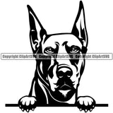 Dobermann Dog Peeking Vector Design Sad Face Puppy Pup Pet Purebred Pedigree Design Element Clipart SVG