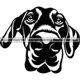 Dobermann Pinscher Dog Happy Head Design Smile Face Paw Puppy Pup Pet Purebred Pedigree Vector Design Clipart SVG