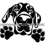 Dobermann Pinscher Dog Peeking Design Smile Happy Face Paw Puppy Pup Pet Purebred Pedigree Vector Clipart SVG