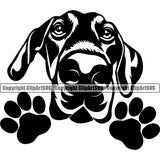 Dobermann Pinscher Dog Peeking Design Smile Happy Face Paw Puppy Pup Pet Purebred Pedigree Vector Portrait Clipart SVG