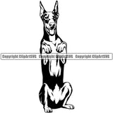 Doberman Pinscher Animal Portrait Doggy Cute Face Begging Design Puppy Pup Pet Purebred Element Clipart SVG