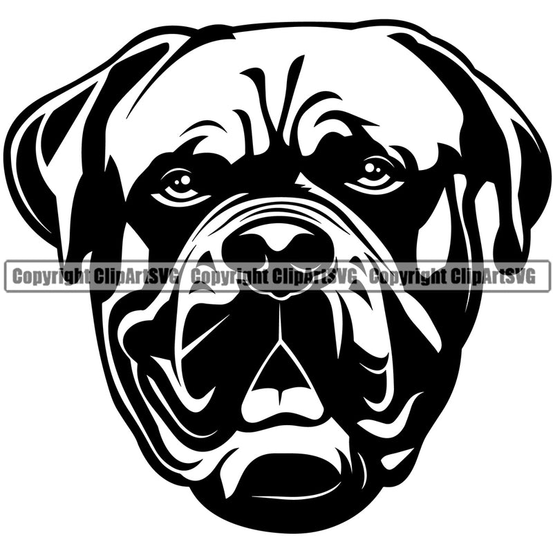 Bulldog Animal Dog Head Sad Face Puppy Pup Purebred Pedigree Vector Portrait Clipart SVG