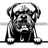 Dogue De Bordeaux Dog Peeking Vector Design Boxer Puppy Pup Pet Purebred Pedigree Design Element Clipart SVG