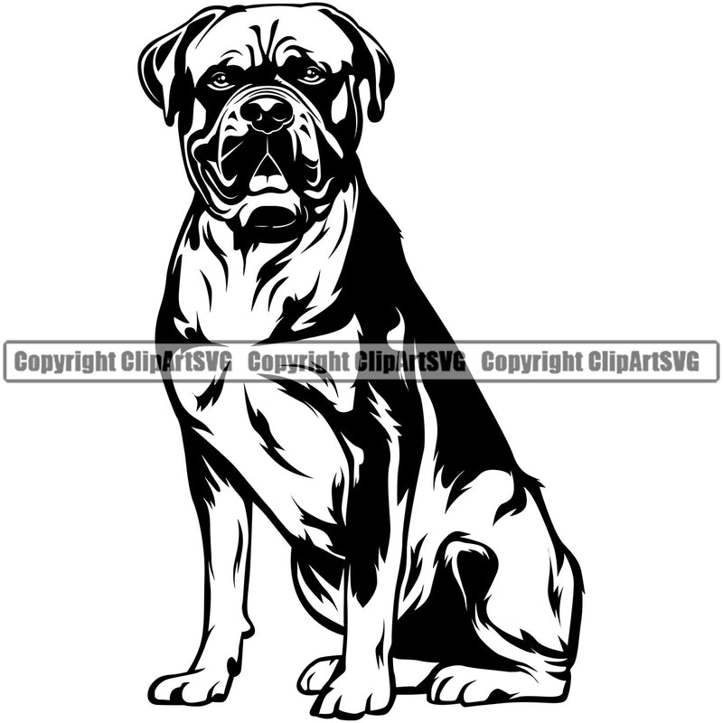 Dogue De Bordeaux Dog Sitting Design Boxer Puppy Pup Pet Purebred Pedigree Vector Portrait Clipart SVG