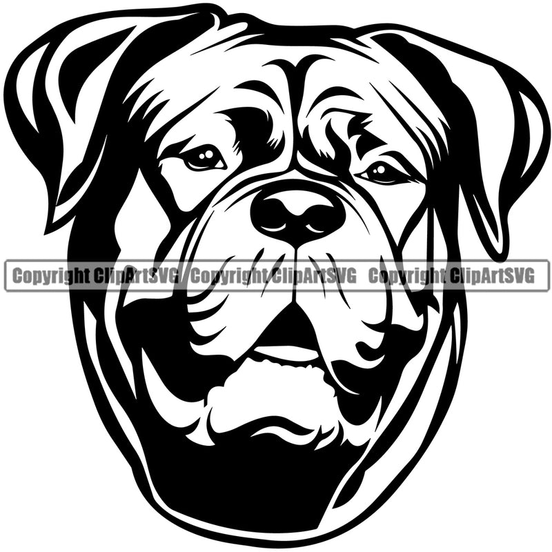 Dogue De Bordeaux Dog Head Design Sad Puppy Pup Pet Purebred Pedigree Vector Clipart SVG