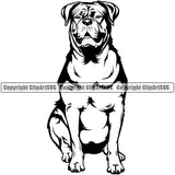Dogue De Bordeaux Dog Sitting Vector Design Boxer Puppy Pup Pet Purebred Pedigree Vector Design Clipart SVG