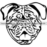 Dogue De Bordeaux Dog Head Vector Design Boxer Angry Face Puppy Pup Pet Purebred Pedigree Vector Clipart SVG