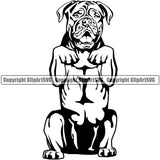 Dogue De Bordeaux Dog Begging Vector Design Boxer Sad Face Puppy Pup Pet Purebred Pedigree Design Element Clipart SVG