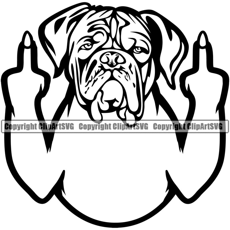 Dogue De Bordeaux Dog Middle Finger Sign Vector Design Funny Face Puppy Pup Pet Purebred Pedigree Vector Design Clipart SVG